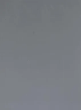 Gris liso