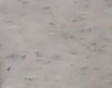 Mármol gris