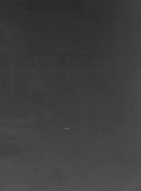Negro arena